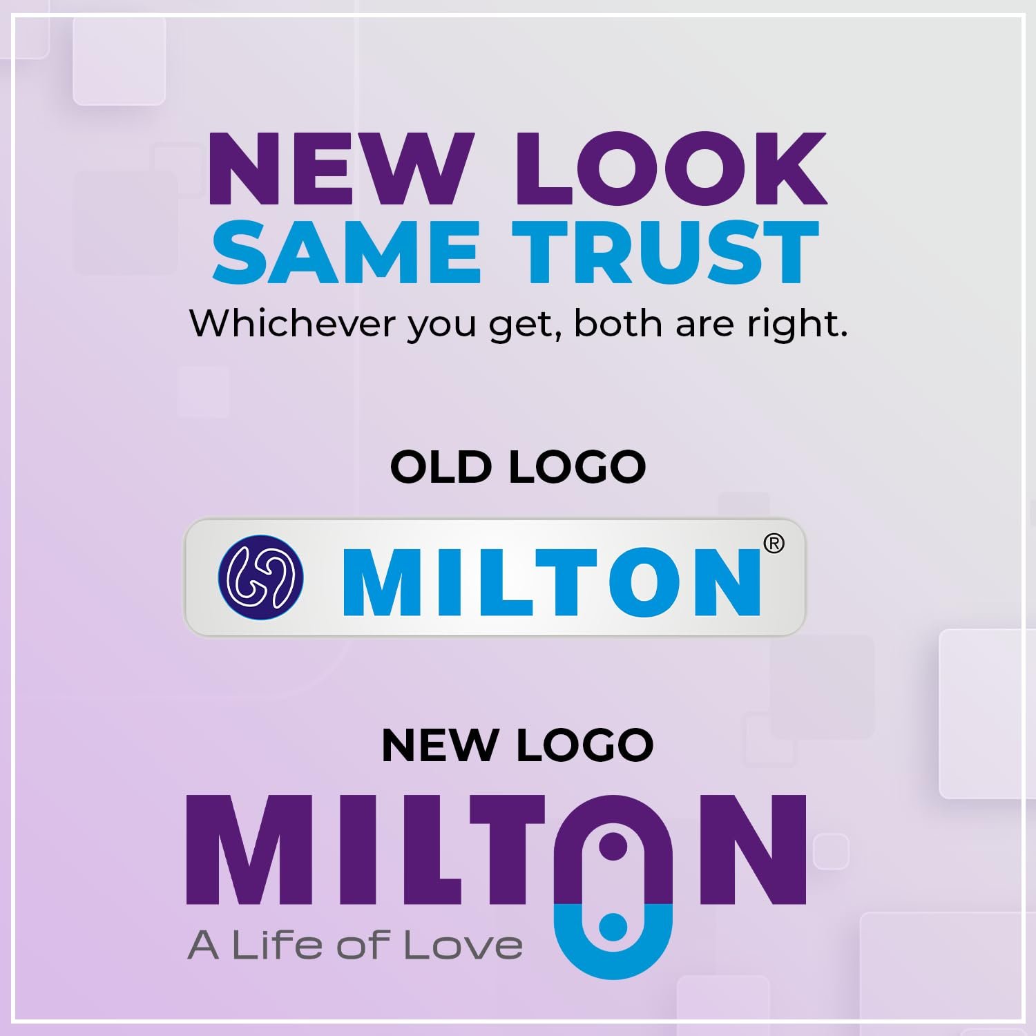 MILTON Premium 4 Burner Black Manual Ignition Glass Top Gas Stove, (ISI Certified) - View 3